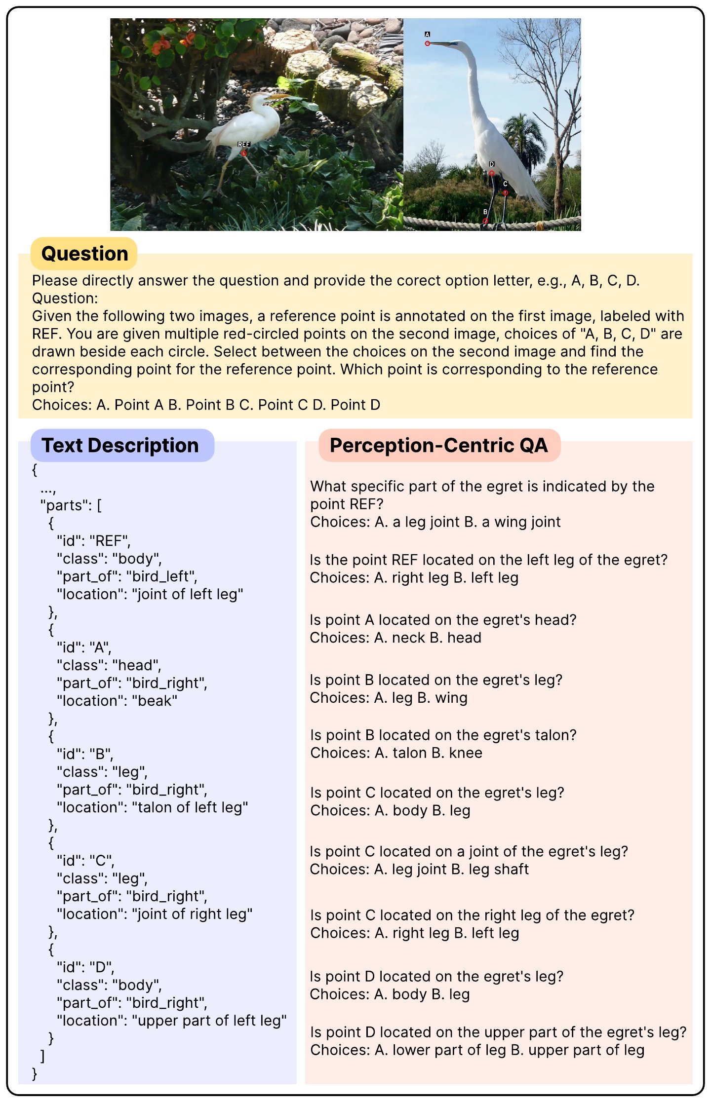 Data samples from MathLens-NS